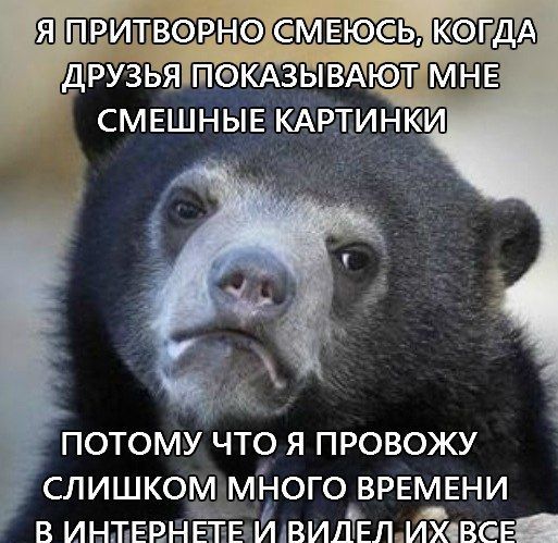 Прикольные картинки (105 фото)