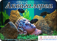 Магазин Аквагалерея