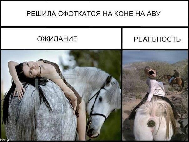РЕШИЛА СФОТКАТСЯ НА КОНЕ НА АВУ,конь срет,мечты vs реальность,epic FAIL,фотография,девушка