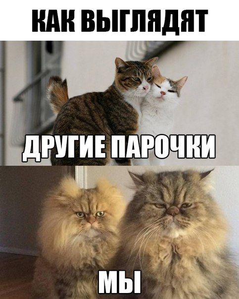 Прикольные картинки пятницы (50 шт)
