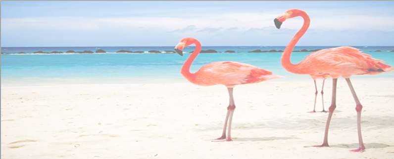 Пансионат "FLAMINGO (фламинго)" Железный порт