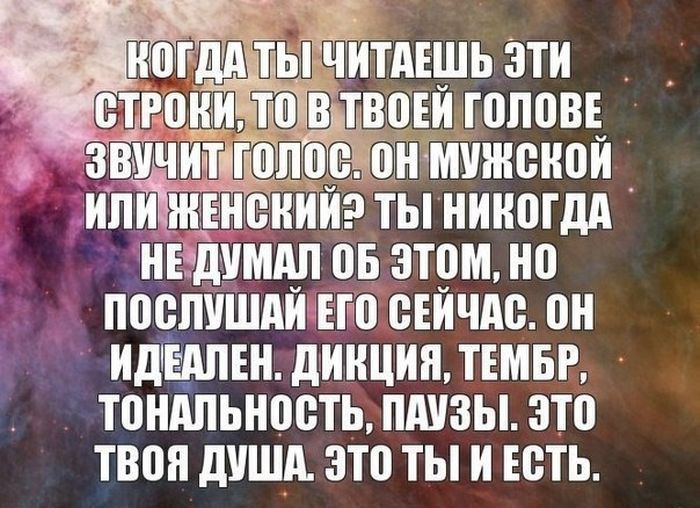 Прикольные картинки (194 фото)