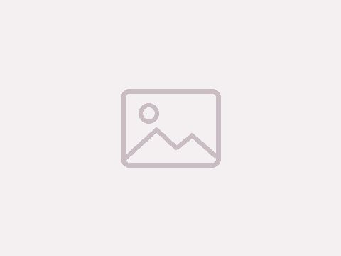 IMGP9266.jpg