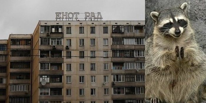 Прикольные картинки (107 фото)
